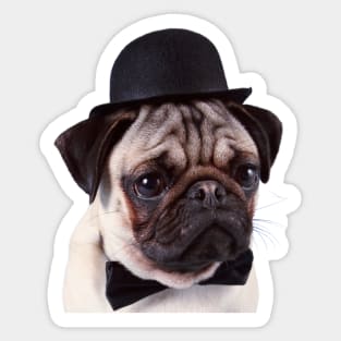 Cute Dogface Sticker